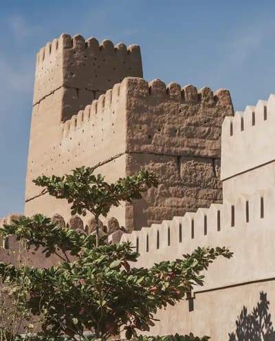 The Family Office - تنمية الثروات وحفظها